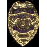 SECURITY ENFORCEMENT OFFICER BADGE PIN